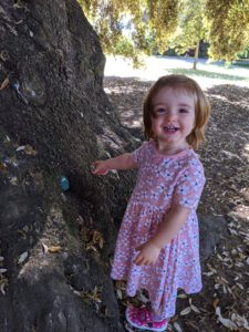 ‎Dorothy Glen Tree